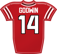 Chris Godwin Jr. TB jersey