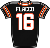 Joe Flacco CIN jersey