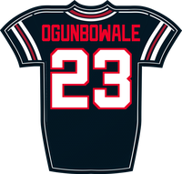 Dare Ogunbowale HOU jersey