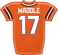 Jaylen Waddle DEN jersey