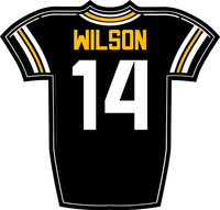 Roman Wilson PIT jersey