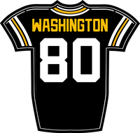 Darnell Washington PIT jersey