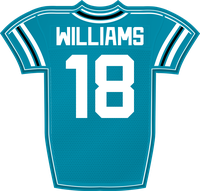 C.J. Williams JAX jersey